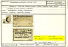 Karteikarte zum Holotyp von Glandulina subovata Stache, 1864